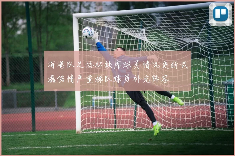 海港队足协杯缺席球员情况更新武磊伤情严重梯队球员补充阵容